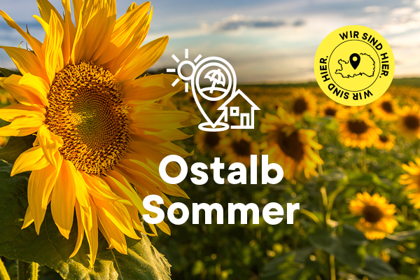 Ostalbsommer-2026-Aboshopkachel